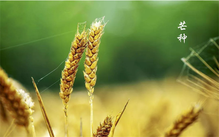 20200609/8e6edd6a131b83b62c03ff9cf3e041a7.jpg 8.jpg