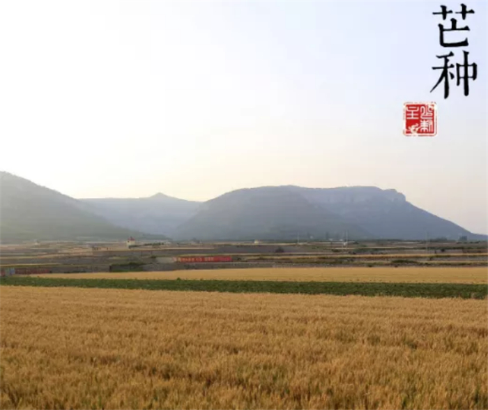 20200609/bfc35fbd26e22a580643797ac87da7eb.jpg 14.jpg